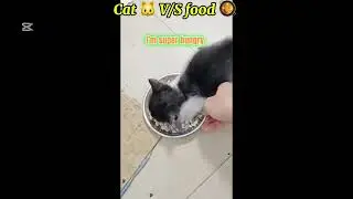 Cute cat troll faces| 😎 cool troll face edits| must watch troll faces🤩
