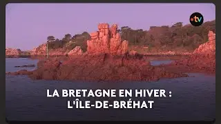La Bretagne en hiver : l'Île-de-Bréhat