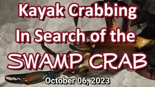 Kayak Crabbing in Search of the Swamp Crabs 10-06-2023