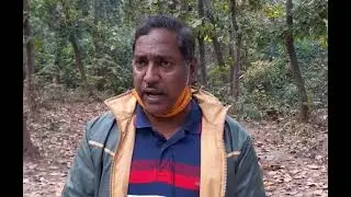 Save Elephant Foundation Trust