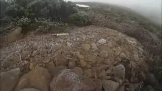 Needle ice time lapse Mt Rufus, Tasmania