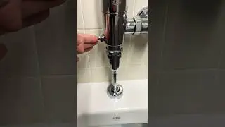 Zurn Urinal Flush | Public Library, Temple City, California, USA | Desensitization Training