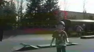 1 true media sk8