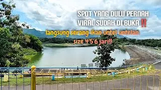 SPOT INI SUDAH DI BUKA UNTUK UMUM‼️MONGGO DI SERANG NILA MERAH 4,5,6 JARIAN‼️ 