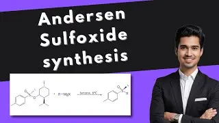 Andersen Sulfoxide Synthesis | Name rections 