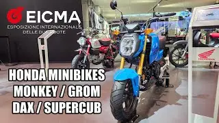 Honda MINI BIKES  - EICMA 2024 (Monkey, Grom, Dax, SuperCub)