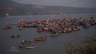 Ships at Harne Port