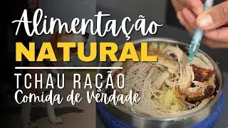 We started NATURAL FEEDING with our BEAGLE DOG 🐶 | Tips for Healthy Dogs!