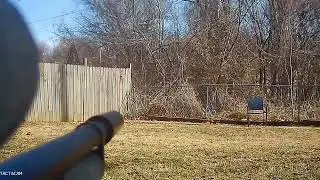 tacticam solo side mounted on a semi auto marauder.