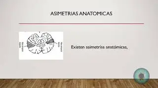 ASIMETRIAS HEMISFERICAS (Neuropsicología)