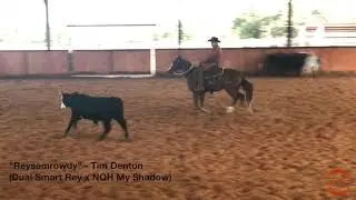 Reysemrowdy - 2016 Sorrel Gelding by Dual Smart Rey