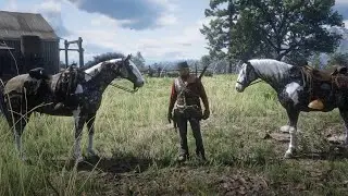 Red Dead Redemption 2 - How to get the Missouri Fox Trotter early in chapter 2