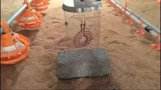 EC Farm Customer Review Karnataka || #poultry #Electric Brooders