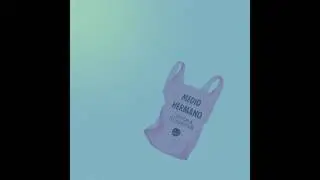 Medio Hermano - El Chico del P&oacute;rtico