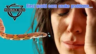 HRP 101 - I got 99 corn snake problems...