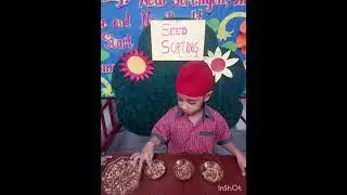 Seed Sorting