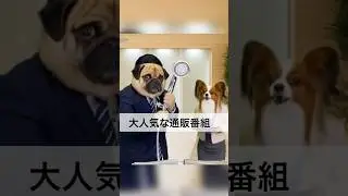 大人気な通販番組#通販チャンネル#aishorts#viral#パグ犬#パピヨン#dogs