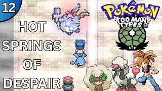 FLANNERY'S FLUFFY TYPES! | Pok&eacute;mon Too Many Types 2 (Ep 12)