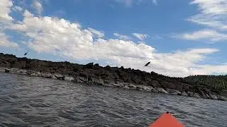 Kayaking River Reservoir in Greer Arizona