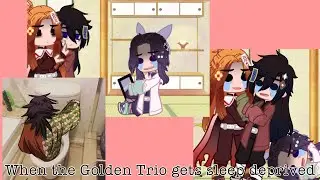 When the Golden trio becomes sleep deprived ||  PLATONIC RenGiyuu?? || Demon Slayer ||