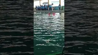 KEJURKOT KOTA MADIUN 1 NOV 2021