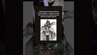 Tlahuelpuchi #scary #folklore #education #mythology