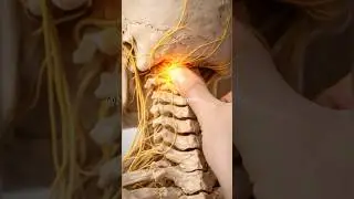 A Point Linked to Fatigue and Tension Sensation