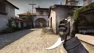 Karambit Stained - Factory New - CS:GO Skin Showcase