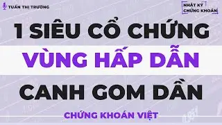 📊1 SI&Ecirc;U CỔ CHỨNG V&Ugrave;NG GI&Aacute; HẤP DẪN NH&Agrave; ĐẦU TƯ CANH MUA DẦN | NHẬT K&Yacute; CHỨNG KHO&Aacute;N