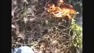 RC Aircraft Crash Compilation 2013 Part 1