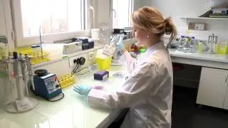 Au coeur de la recherche en cancérologie
