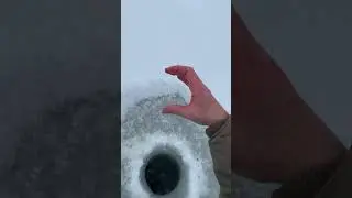 Ice Fishing Pacific Northwest Lake Washington