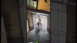 🔥 ТЦК Не Поняли Как Открыть Дверь 🤣 #полиция #тцк #патрульная_полиция