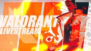 Solo or Stack? | Road to Gold to Diamond | Shadow OP Live || #valorant Live #shortlive