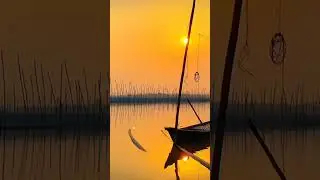 #nullway #nature #travel #tour #naturelovers
