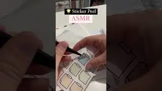 🌟so SATISFYING - ASMR sticker sounds 😊 #hobonichi #stickers