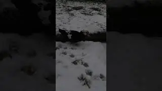 (Paris sous la Neige) Parc Kellermann | S4 #1🏞️❄