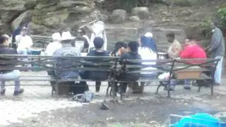 Mount Morris Park Musicians playing Afro/Caribbean Instruments