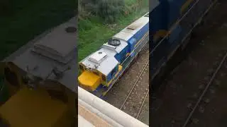 تحدي القطار مباشر 