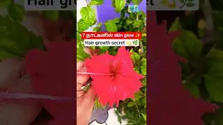 செம்பருத்தி பூ பயன்கள் 🌺 | Skin Glow, Hair Growth, Hair Fall Control | Tamil