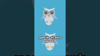 Owl Wisdom #shorts #shortvideo #subscribe #shortsvideo #shortsfeed #animals