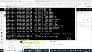 DataAnalyticsWithAwk_CISC323