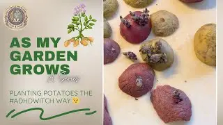 Grow Potatoes the ADHD Witch Way 🥔🌱 #asmygardengrows #adhdwitch #potatoes