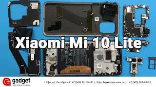 Xiaomi Mi 10 Lite обзор на внутренний мир. / Xiaomi Mi 10 Lite Teardown Disassembly