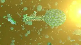 How DNA got into the bacteriophage
