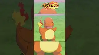 Liko & Roy&rsquo;s NEXT Pok&eacute;mon?!