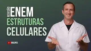 ENEM 2024 - O esquema representa um experimento feito com células de protozoário Amoeba proteus.