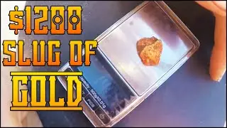 Dodging Dingoes for a $1200 Pilbara Nugget