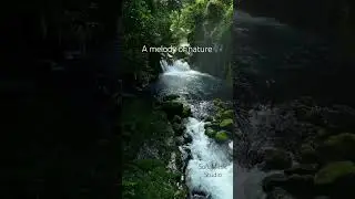🌿 Forest Waterfall Ambience | Soft Piano Music for Relaxation