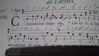 Cantantibus organis